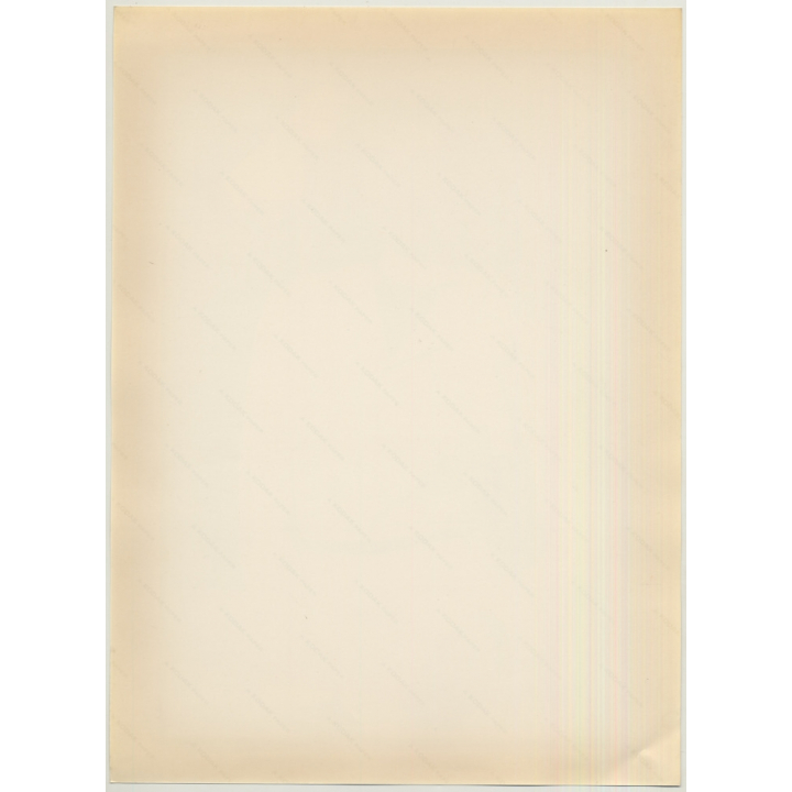 Elegant Female Model In White Blouse *1 / Scarf (Vintage Photo 1980s WOLFGANG KLEIN ~DIN A3)