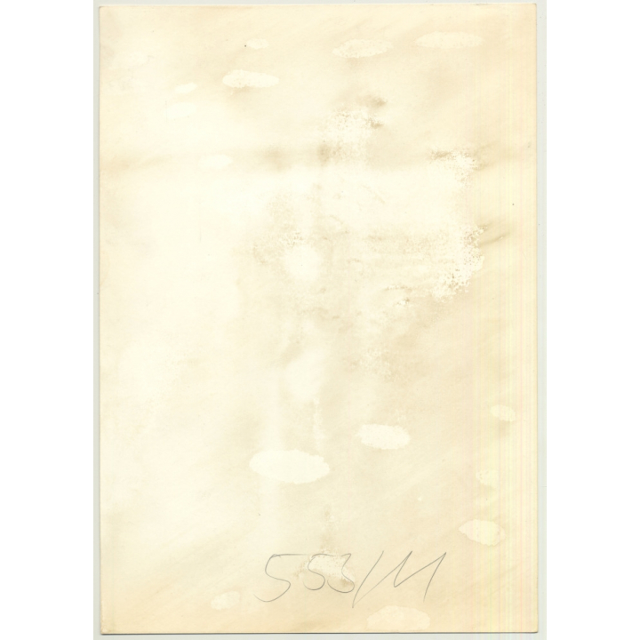 Nude Female Shower Study *11 / Scrubs Her Back (Vintage Photo 1980s WOLFGANG KLEIN ~DIN A3)