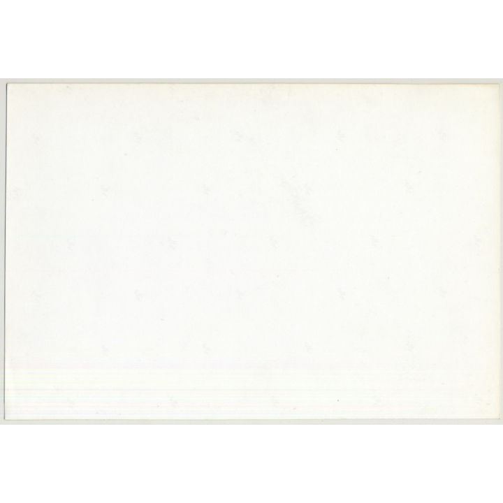 Portrait Of A Woman In A High Neck Lace Blouse (Vintage Photo 1980s WOLFGANG KLEIN ~DIN A3)