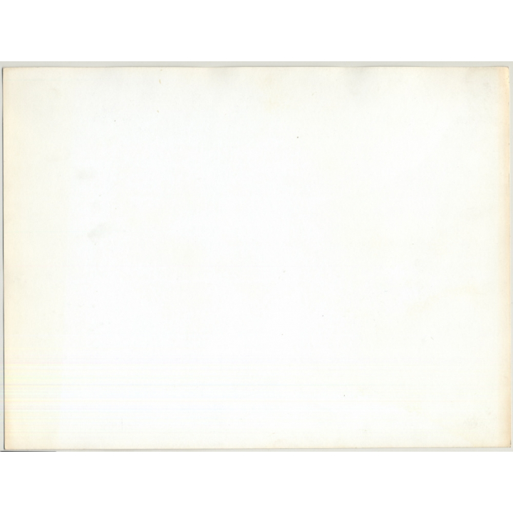 Portrait Of Hippie Couple *2 / Shout - Tiger Tattoo (Vintage Photo 1970s WOLFGANG KLEIN ~DIN A3)