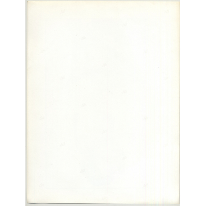 Seductive Female Model In White Lingerie / Suspenders (Vintage Photo 1980s WOLFGANG KLEIN ~DIN A3)