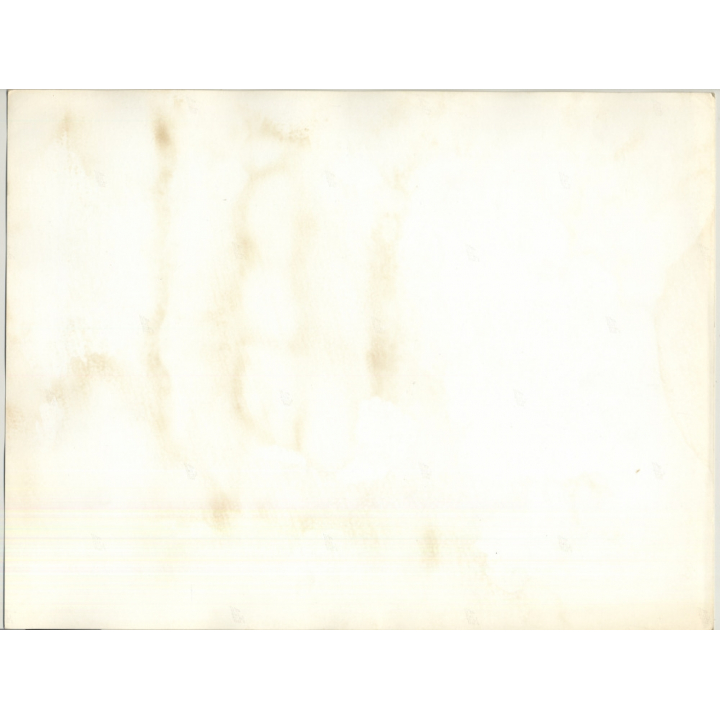 Female Nude Body Study / B&W (Vintage Photo 1980s WOLFGANG KLEIN ~DIN A3)