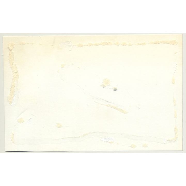 Le Havre / France: View Over Whole City & Shore (Vintage Photo B/W 1963)