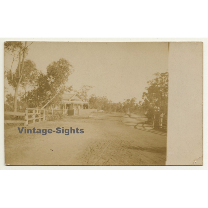 Congo-Belge: Colonial Farm - Street View - Trees (Vintage RPPC ~1910s/1920s)