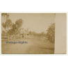 Congo-Belge: Colonial Farm - Street View - Trees (Vintage RPPC ~1910s/1920s)
