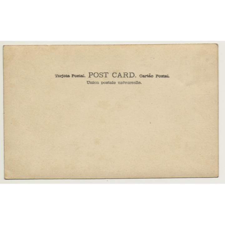 Congo-Belge: Colonial Farm - Street View - Trees (Vintage RPPC ~1910s/1920s)