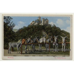 Wartburg / Thüringen: Am Eselstandplatz (Vintage Postcard)