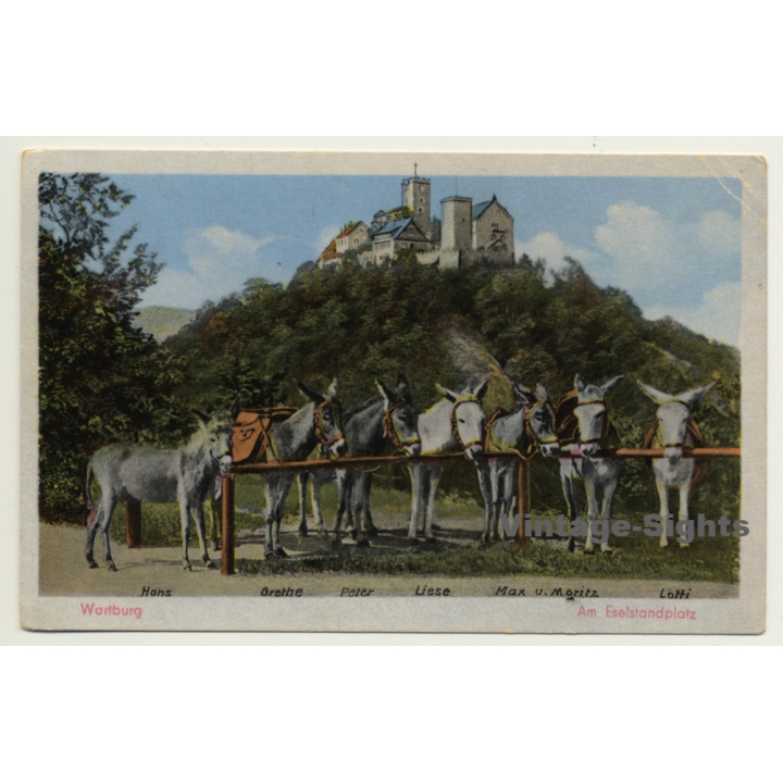 Wartburg / Thüringen: Am Eselstandplatz (Vintage Postcard)