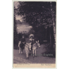 Bad Nauheim / Germany: Durchblick Zum Teich / Kids On Donkeys (Vintage Postcard 1906)