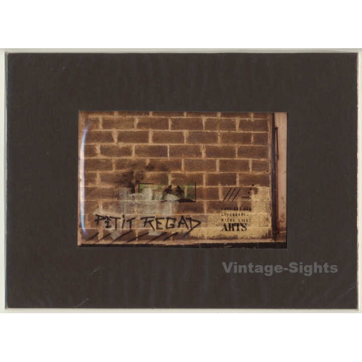 Lydia F. Nash / Bruxelles: Petit Fiegad (Vintage Photo ~1980s/1990s)