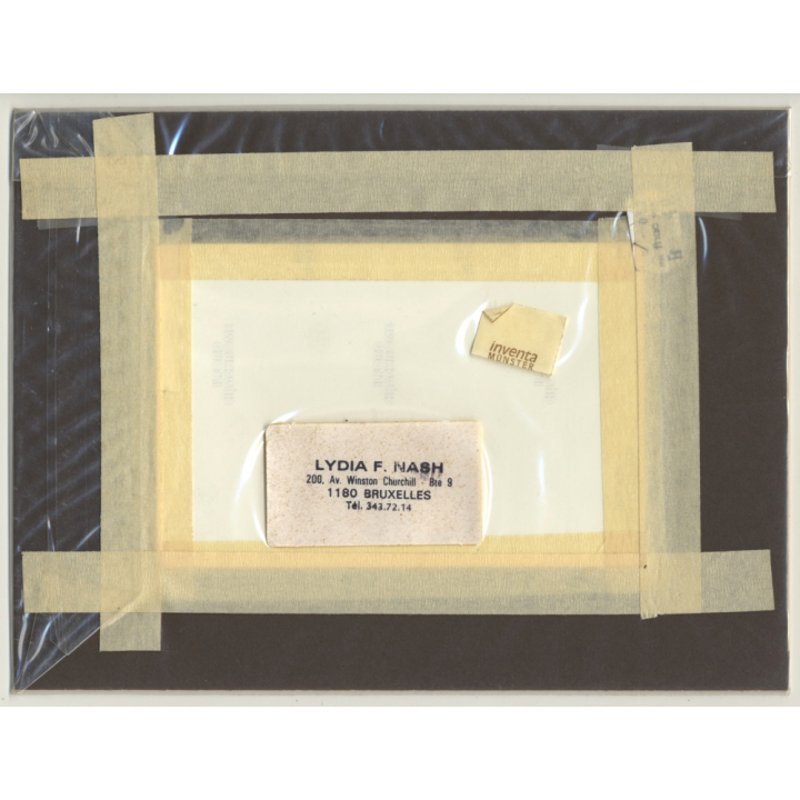 Lydia F. Nash / Bruxelles: Sea Of Flowers (Vintage Photo ~1980s/1990s)