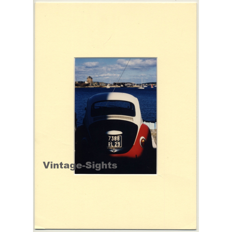 Lydia F. Nash / Bruxelles: VW Beetle Still Life / Käfer (Vintage Photo ~1980s/1990s)
