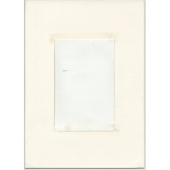 Lydia F. Nash / Bruxelles: VW Beetle Still Life / Käfer (Vintage Photo ~1980s/1990s)