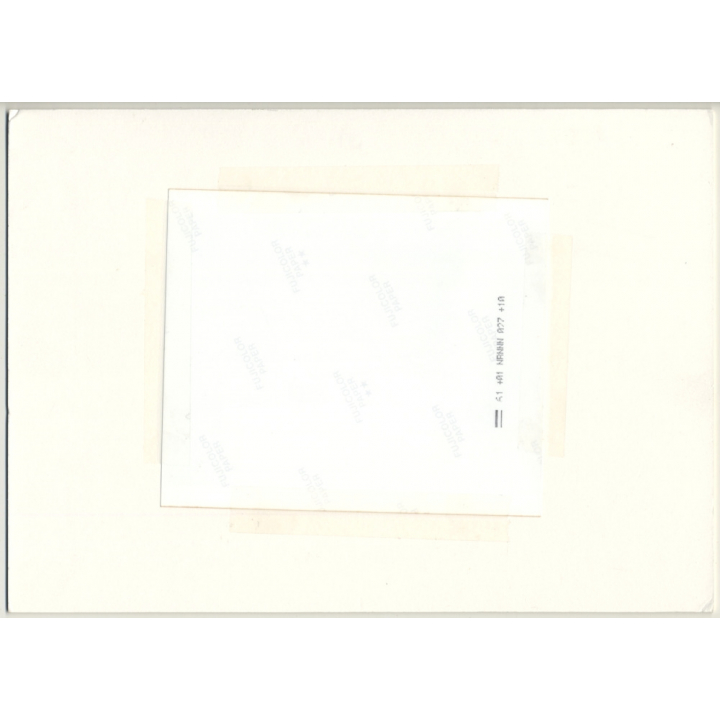 Lydia F. Nash / Bruxelles: Sheeps III (Vintage Photo ~1980s/1990s)