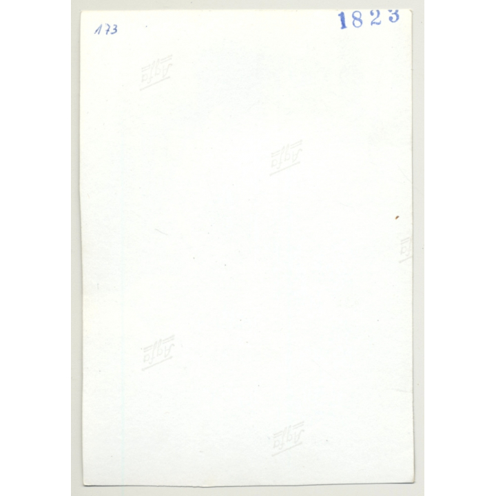 Brunette Nude With Silk Scarf / Lips - Eyes - Interior (Vintage Photo B/W 1960s)