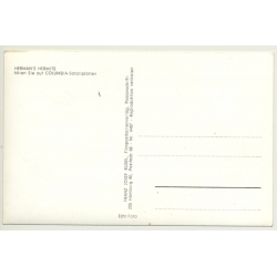 Herman's Hermits *1 / Electrola - Beat (Vintage Fan RPPC ~1960s)