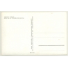 Herman's Hermits *2 / Electrola - Beat (Vintage Fan RPPC ~1960s)