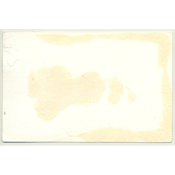 Busty Nude Female Sits On Carpets / Eyes - Legs (Vintage Photo GDR 1970s)