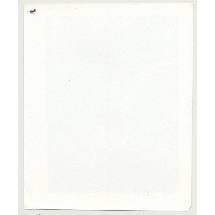 Pretty Female Tied To Bed *3 / Gag - Legs - BDSM (Vintage Photo ~1960s)