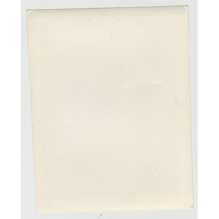 Blonde Showgirl Polly Shows Her Long Legs / Suspenders (Vintage Amateur Photo 1950s)