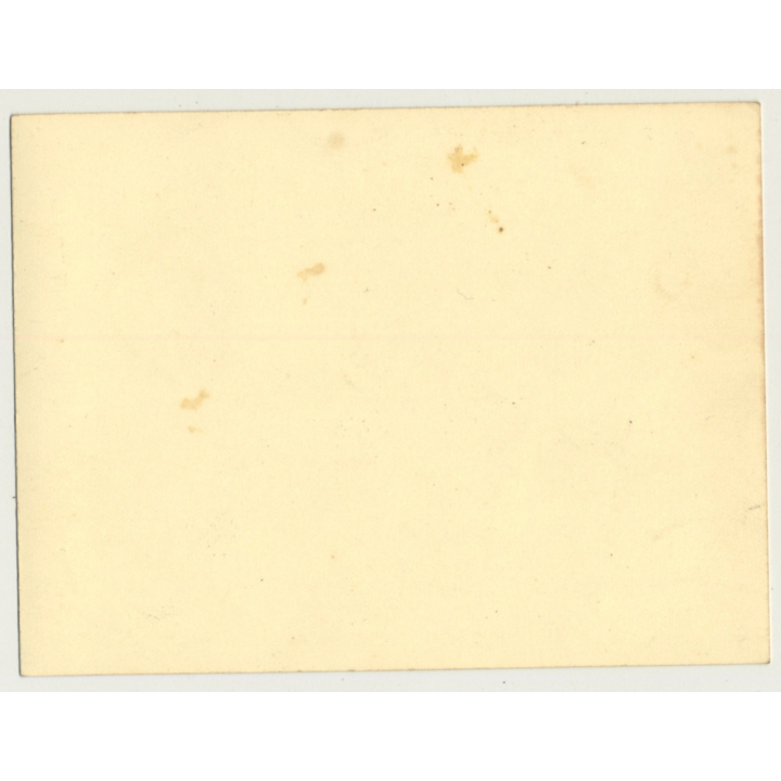 Congo Belge: Force Publique Delegation In Front Of Sabena OO-SDQ *2 (Vintage Photo ~1950s/1960s)