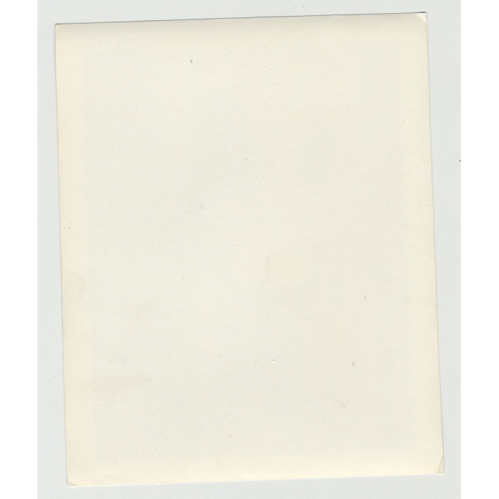 Deep Insights Of Pinup Gina Marie / Open Mouth (Vintage Irving Klaw Photo 1950s)