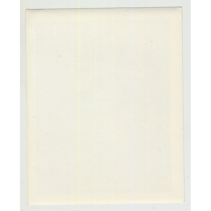 Gina Marie Combing Her Hair / Mirror - Bra - Socks (Vintage Irving Klaw Photo 1950s)