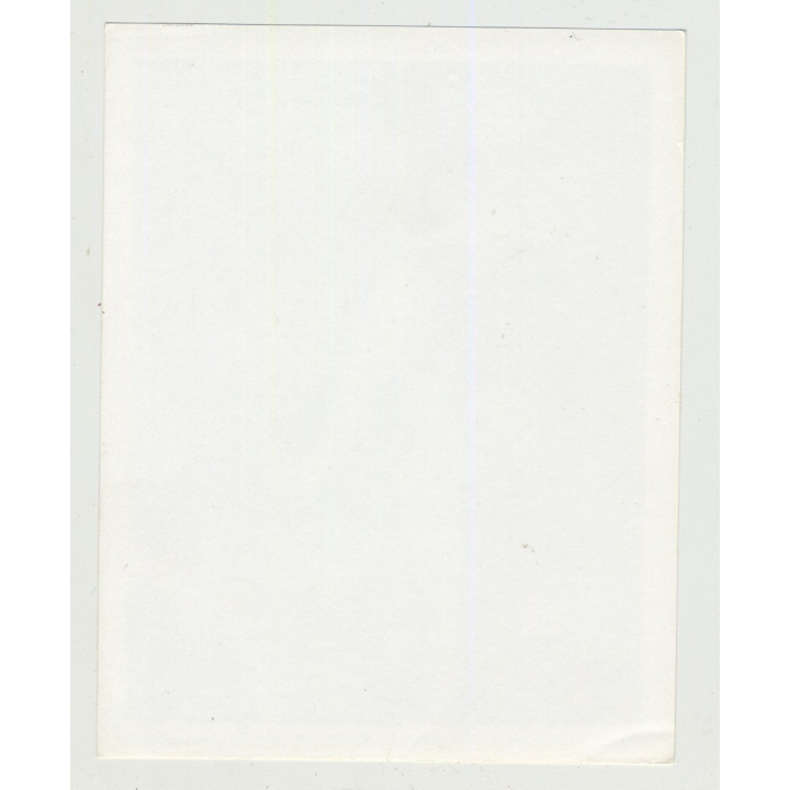 Bettie Page Wearing Corsage,Silk Gloves & Stockings (Vintage Irving Klaw Photo 1950s)