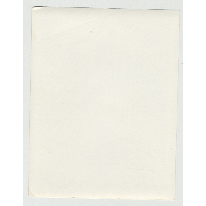 Pinup Barbara Paulin In White Lingerie / Big Butt (Vintage Irving Klaw Photo 1950s)