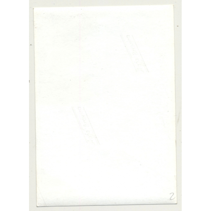 Busty Brunette Woman Teases Camera (Vintage Photo B/W 1950s/1960s)