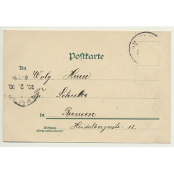 Vienna / Austria: Rathaus / Gruss Aus Wien (Vintage PC Litho 1900)