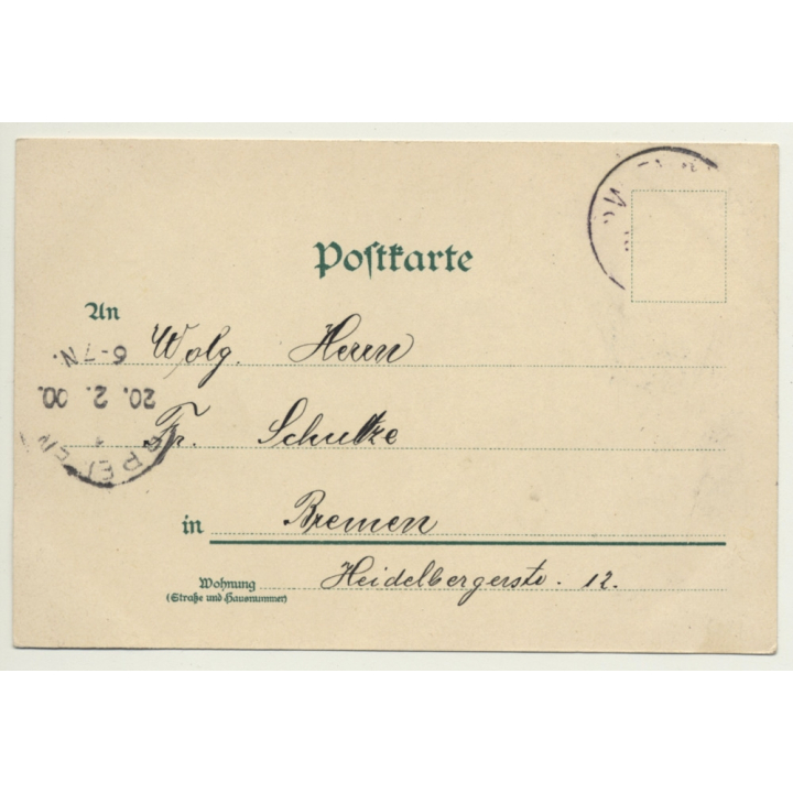 Vienna / Austria: Rathaus / Gruss Aus Wien (Vintage PC Litho 1900)