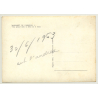 Massanet De Cabrenys / Spain: Town View / Vista General (Vintage RPPC 1963)