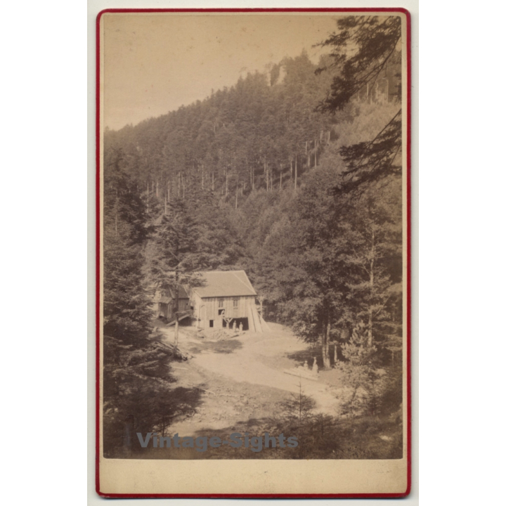 Les Vosges / France: Sawmill In Forest (Vintage Cabinet Card ~1870s/1880s)