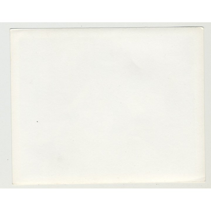 Pinup Sally L. Lingering On Couch / Suspenders - Heels (Vintage Irving Klaw Photo 1950s)