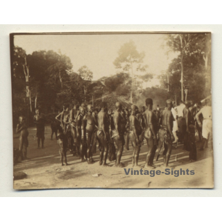 Congo-Belge: Dance Of Indigenous Tribe *4 / Wananda (Vintage Photo ~1920s/1930s)