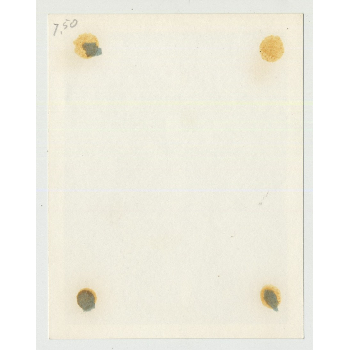 Pinup Opens Morning Gown & Gives A Peek On Her Lingerie  (Vintage Amateur Photo 1950s)