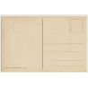 Lehnert & Landrock: Le Curieux - 705 / Risqué (Vintage Postcard ~1910s/1920s)