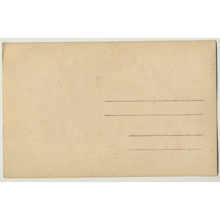 Rue Des Bataves - Ave. Tervueren / Bruxelles: Delhaize Fres & Cie Le Lion (Vintage RPPC ~ 1910)