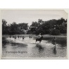 Dungu / Congo-Belge: Elephant Hunt - Horse - Indigenous (Vintage Photo H. Goldstein 1948)