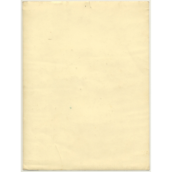 Portrait Of Sheltie - Mini Collie - Dog (Vintage Photo ~ 1920s/1930s)