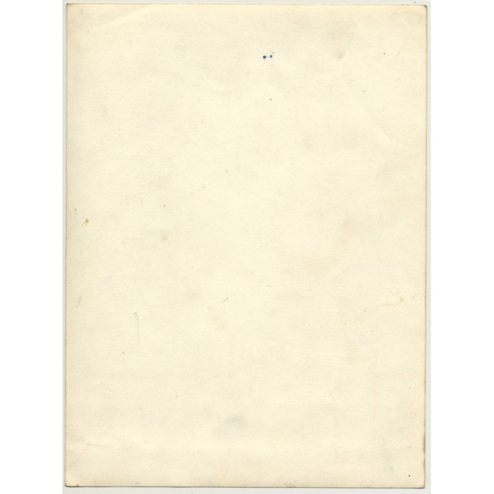 Portrait Of Sheltie - Mini Collie - Dog *2 (Vintage Photo ~ 1920s/1930s)