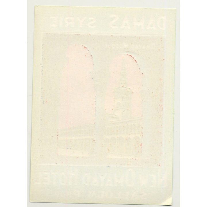Damascus - Damas / Syria: New Omayad Hotel  (Vintage Luggage Label)