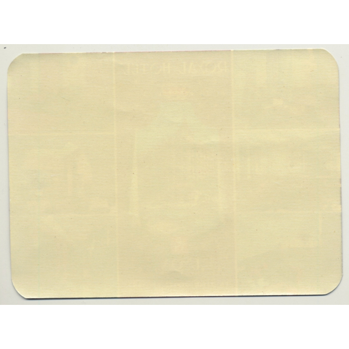 Lyon / France: Royal Hotel (Vintage Luggage Label)