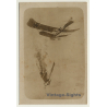 WW1: German Aircraft - Dogfight - Hit - Crash (Vintage RPPC Aviation ~1910s)