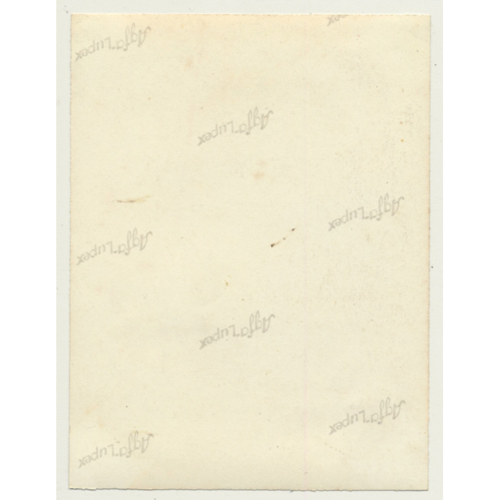 Congo Belge: Indigenous Climbs Up Palm Tree / Colonial Family & Missionary (Vintage Photo ~1930s/1940s)