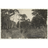 Congo Belge: Men Of Indigenous Tribe In Forest / Sarong  (Vintage Photo ~1930s/1940s)