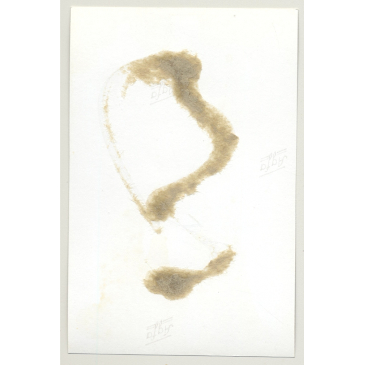 Darkhaired Beauty On Floor / Foot Pillory - BDSM (Vintage Photo GDR ~1960s)