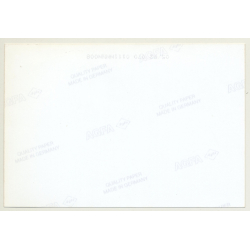 Lydia Nash / Bruxelles: Wood Logs V (Vintage Photo Art 1992)