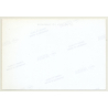 Lydia Nash / Bruxelles: Wood Logs V (Vintage Photo Art 1992)